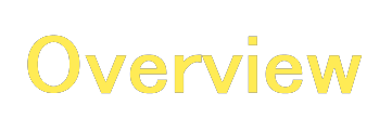 Corporate Profile