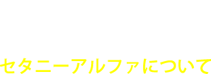 About/セタニーアルファについて